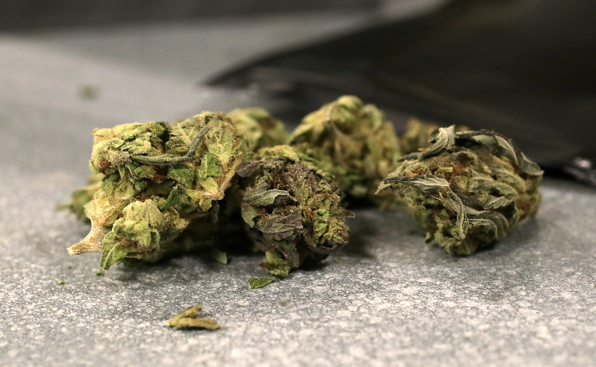 High Speed Delivery Offers Tea With Marijuana Gift