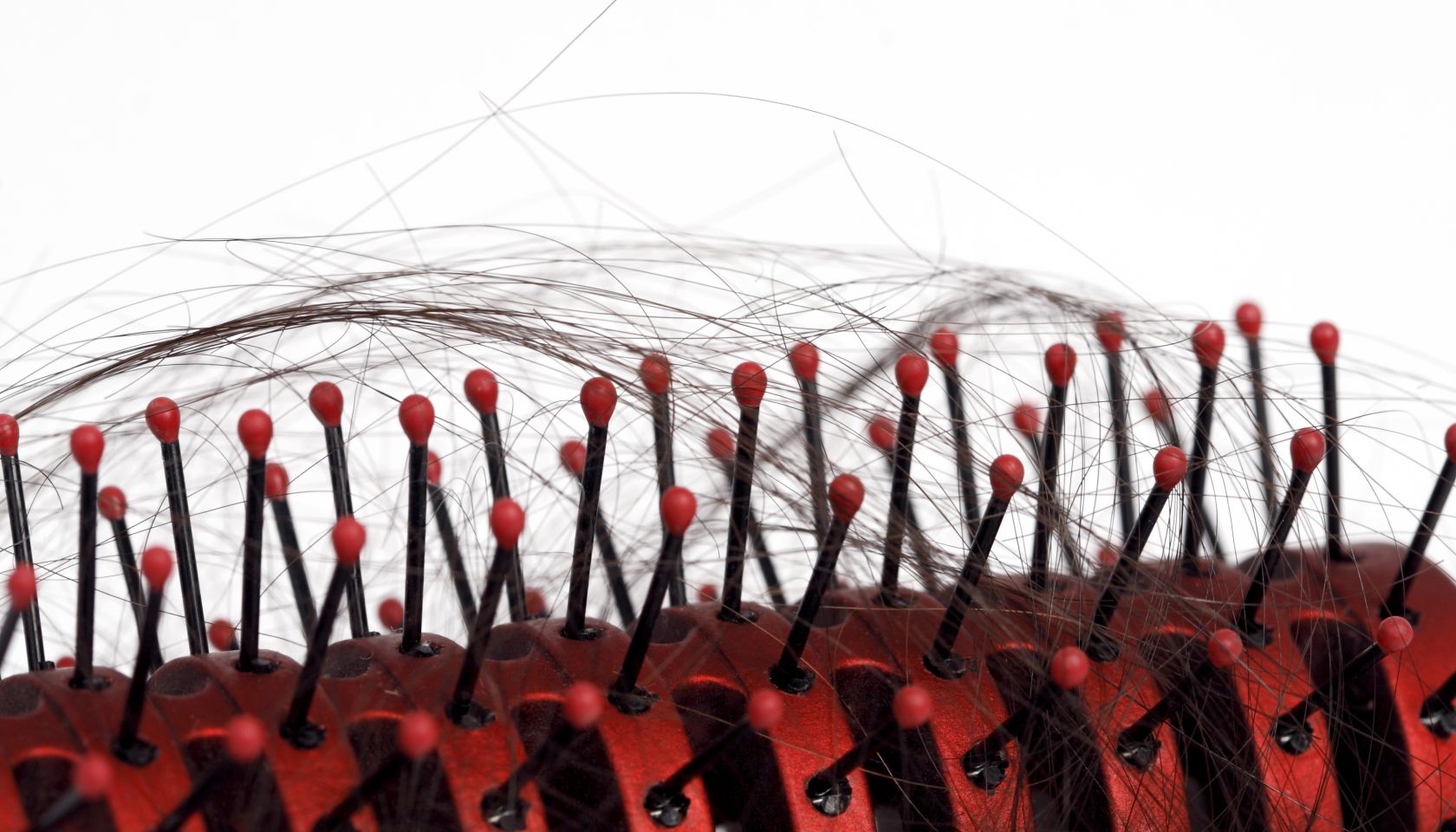 Closeup of Hairbrush with Hair Loss
