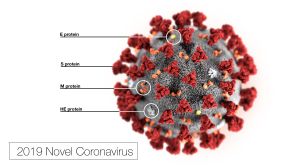 Illustration of 2019 Novel Coronavirus (2019-nCoV)