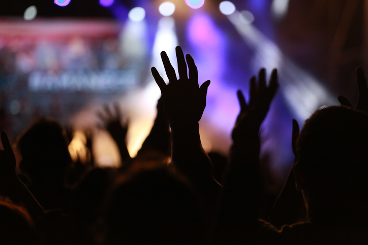 People Playing Music Concert